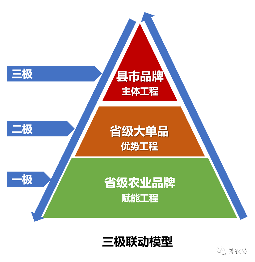 農(nóng)產(chǎn)品區(qū)域公用品牌建設的“三大紀律八項注意”品牌管理
